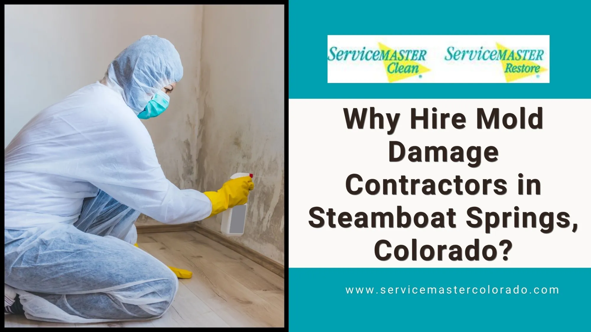 Why Hire Mold Damage Contractors in Steamboat Springs, Colorado?