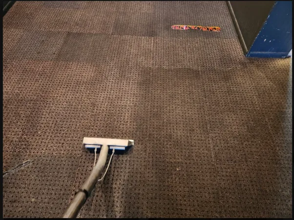 What Steam Cleaning Does That Vacuuming Cannot