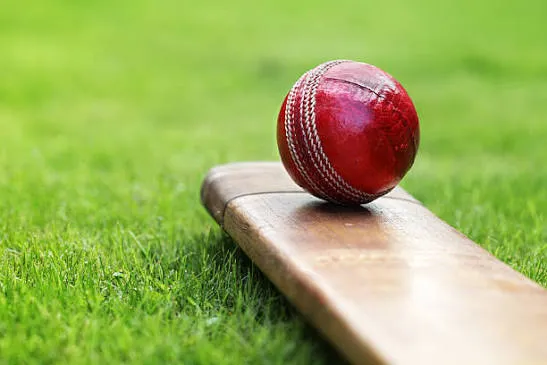Cricket is played professionally in more than 100 countries