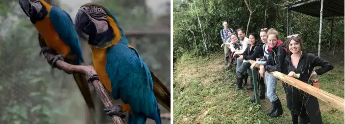 Amazon Rainforest Conservation Volunteer Program: How Volunteering Works & Why It Matters