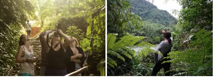 Amazon Rainforest Conservation Volunteer Program: How Volunteering Works & Why It Matters