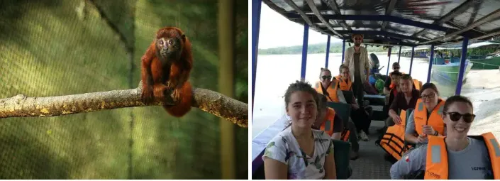 Amazon Rainforest Conservation Volunteer Program: How Volunteering Works & Why It Matters