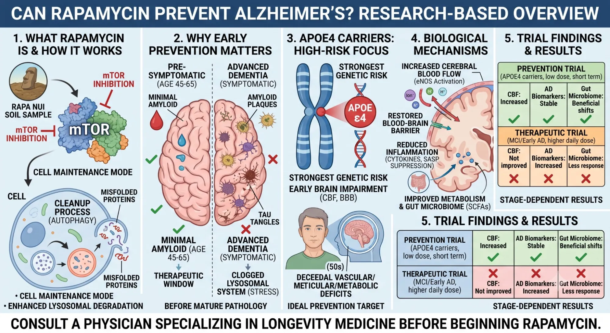 Rapamycin Alzheimer's Prevention: Could a 50-Year-Old Drug Outsmart Dementia?