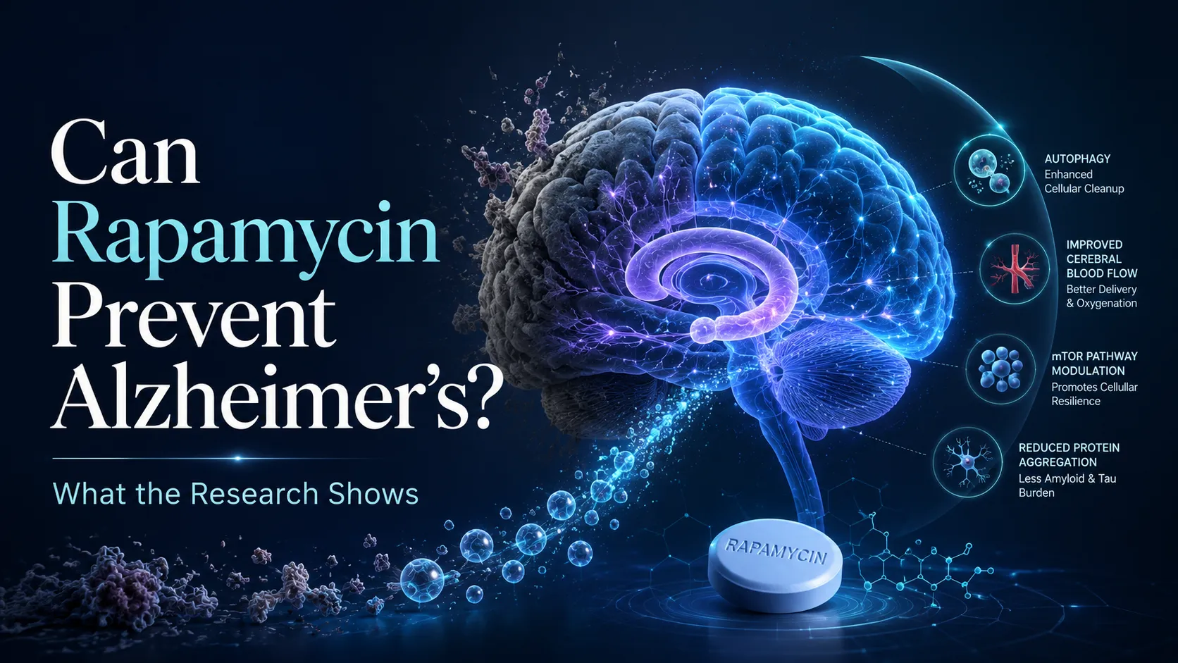 Rapamycin Alzheimer's Prevention: Could a 50-Year-Old Drug Outsmart Dementia?