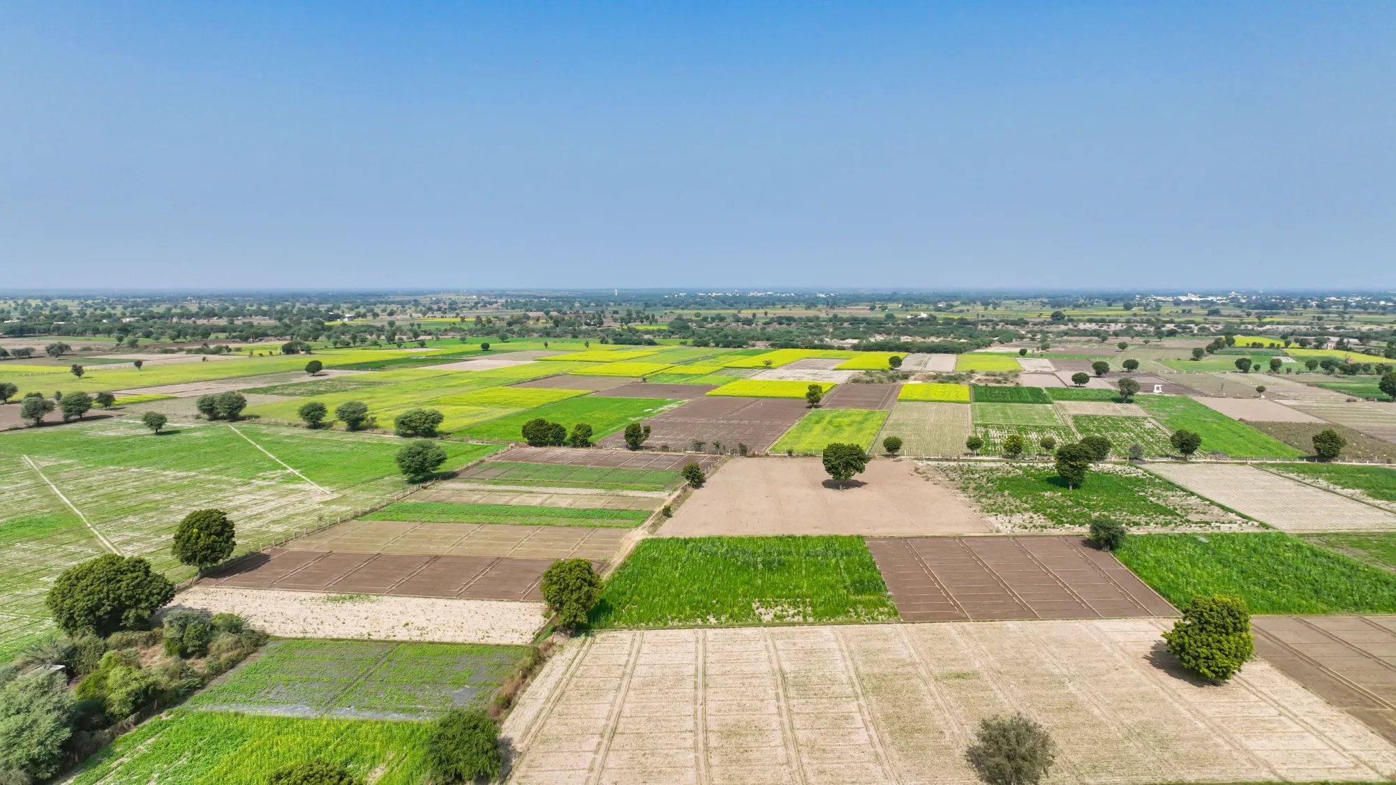 Plots for Sale in Ganjam: A Complete Investment Guide for Smart Property Buyers