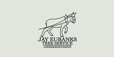 Jay Eubanks Tree Service Now Offering Written Tree Health Assessments for Midtown Mobile Property Owners