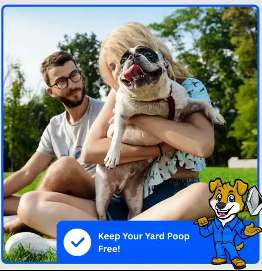 Dog Poop Yard Cleaning Service Near Me: Keep Your Lawn Clean, Fresh, and Pet-Friendly