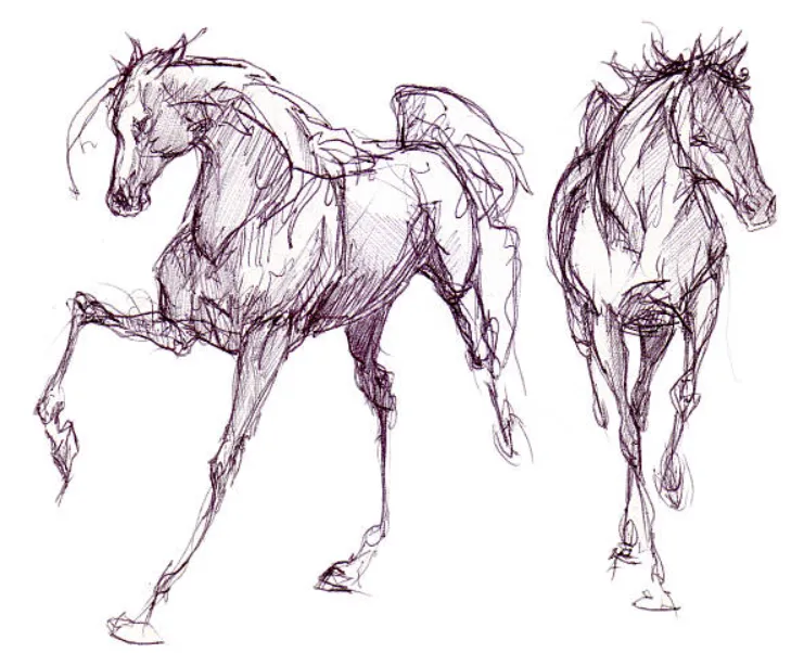 The Intricate Beauty of Fine Line Sketch Drawing Collections