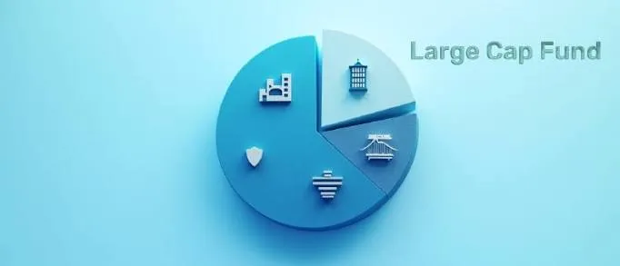 How a Large Cap Fund Fits Into a Conservative Growth Portfolio