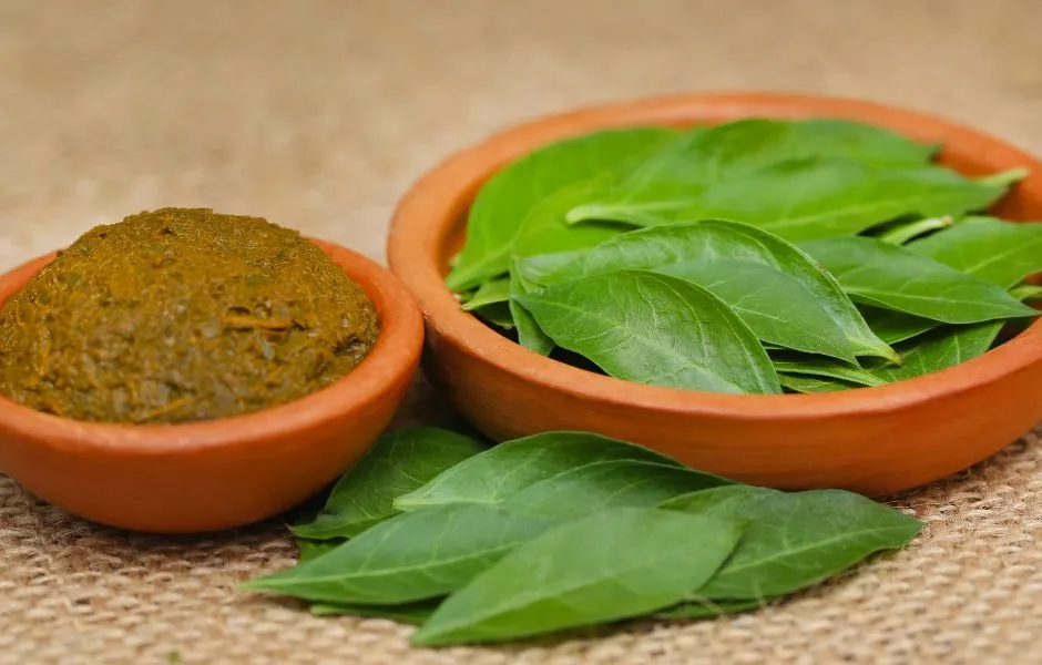 How Climate Conditions Affect the Quality of Henna Powder