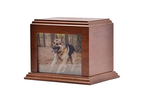 Animal Incinerators: An Eco-Friendly Solution for Pet Remains