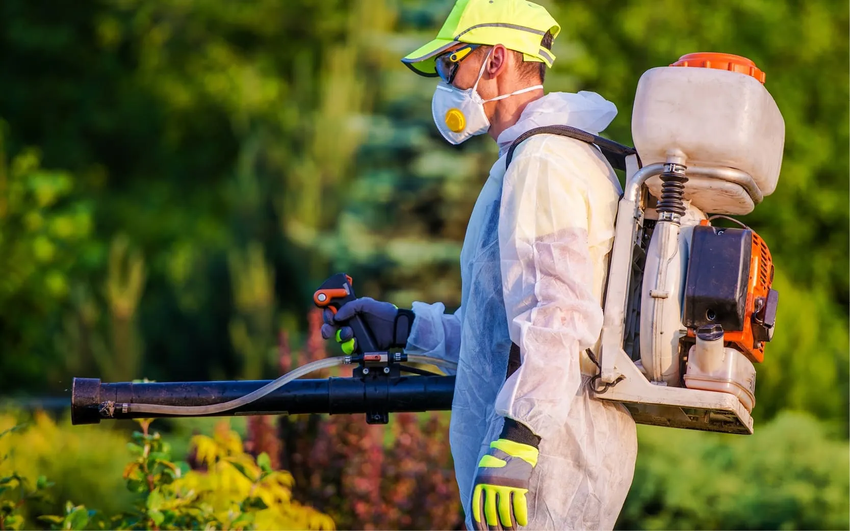 Affordable Pest Control Solutions for Homes and Businesses in Southeast Texas