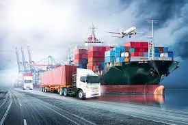 Why Delivery Reliability Matters More Than Ever for New Zealand Businesses