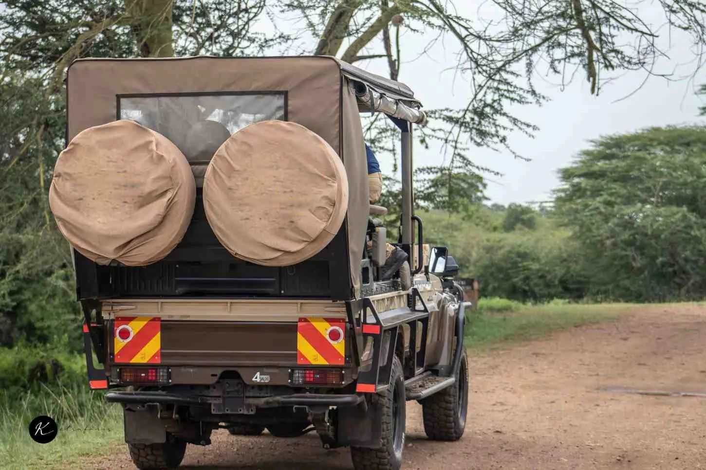 Walking Safaris and Cultural Tours in Tanzania: Beyond the Standard Game Drive