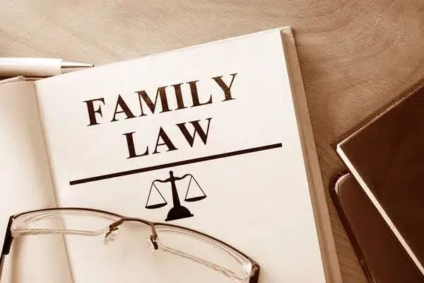 Legal support for divorce, custody & property matters