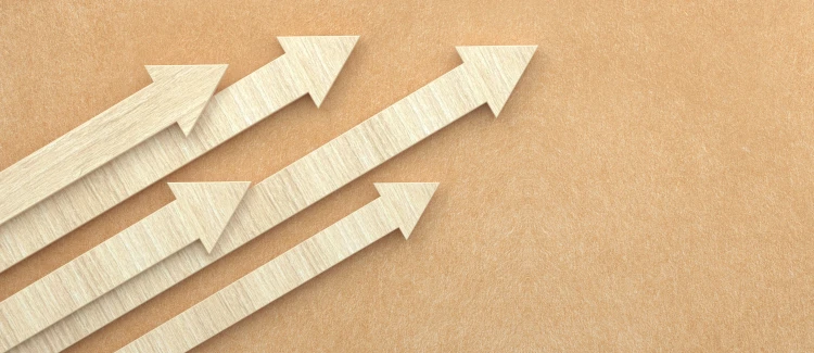 Macropay Review: How Payment Gateways Fuel Business Success