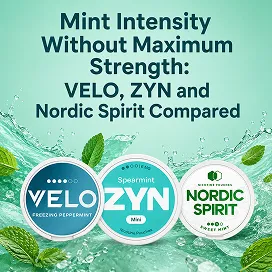 Mint Intensity Without Maximum Strength: VELO, ZYN and Nordic Spirit Compared