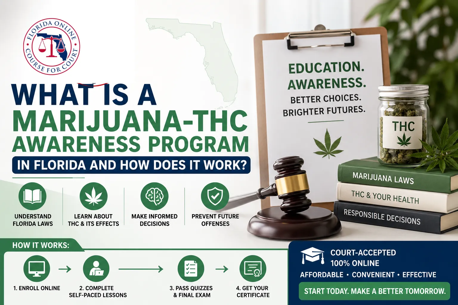 What Is a Marijuana-THC Awareness Program in Florida and How Does It Work?