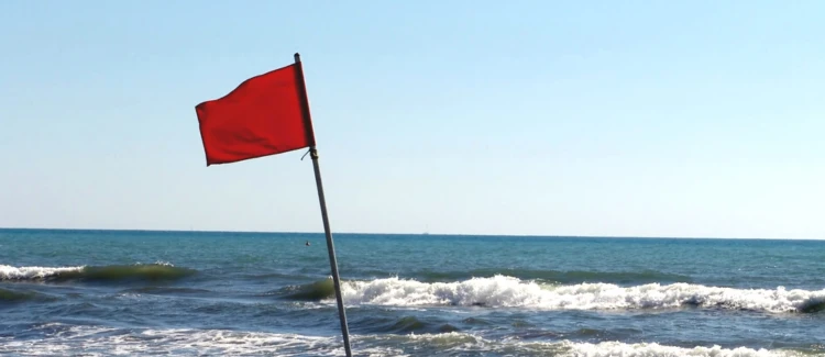 Macropay Scam Alert: The Top 5 Red Flags of a Scam and How to Respond