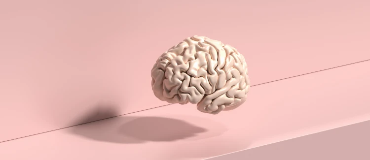 Macropay Scam Alert: How to Train Your Brain to Avoid Scams