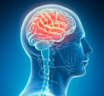 Living With a Brain Tumor Diagnosis: What Determines Treatment Timing and Approach