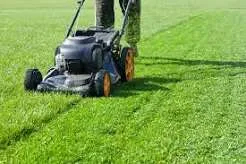 Landscape Care and Maintenance Services