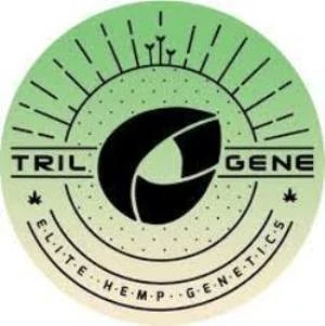 Cannabis Cultivation and Breeding: Understanding Seeds, Clones, Strains, and Methods