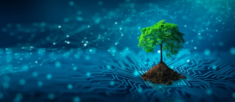 Corporate Responsibility in Tech with Adam J Clarke of Macropay