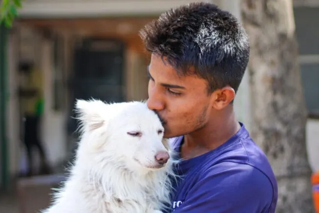 How Community Veterinary Care Helps Improve the Lives of Stray Animals