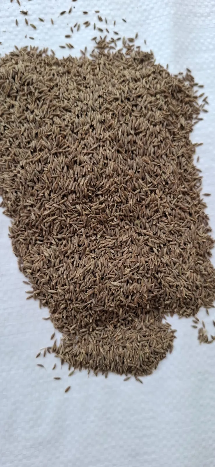 How Indian Cumin Seeds Are Exported — Grades, Ports, and What Buyers Must Know
