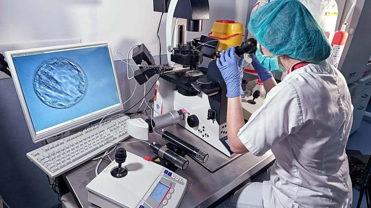 IVF Treatment Explained Step-by-Step: Timeline, Cost & Success Rates in India