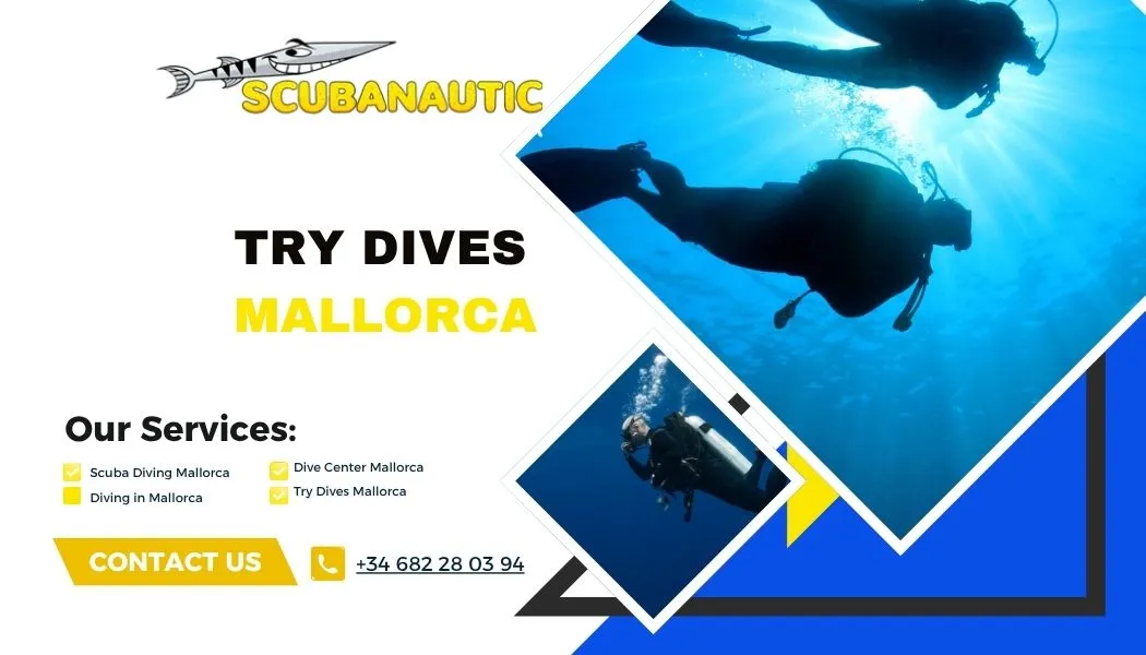 Try Dives Mallorca vs. Diving Courses Mallorca: Which Adventure Is Right for You?