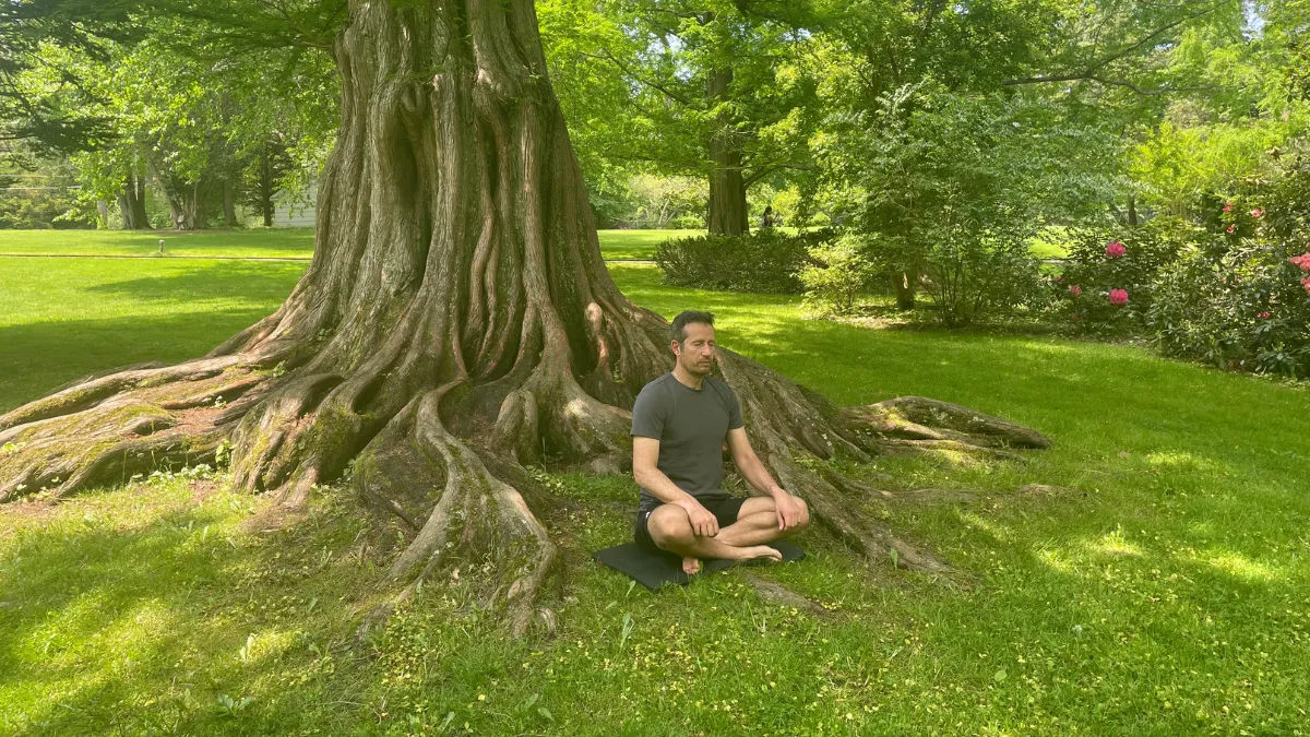 Could Metamorphosis Be the Reason You're Feeling Stuck?