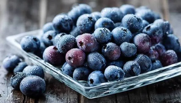 Blueberry Innovations in India’s Food Industry