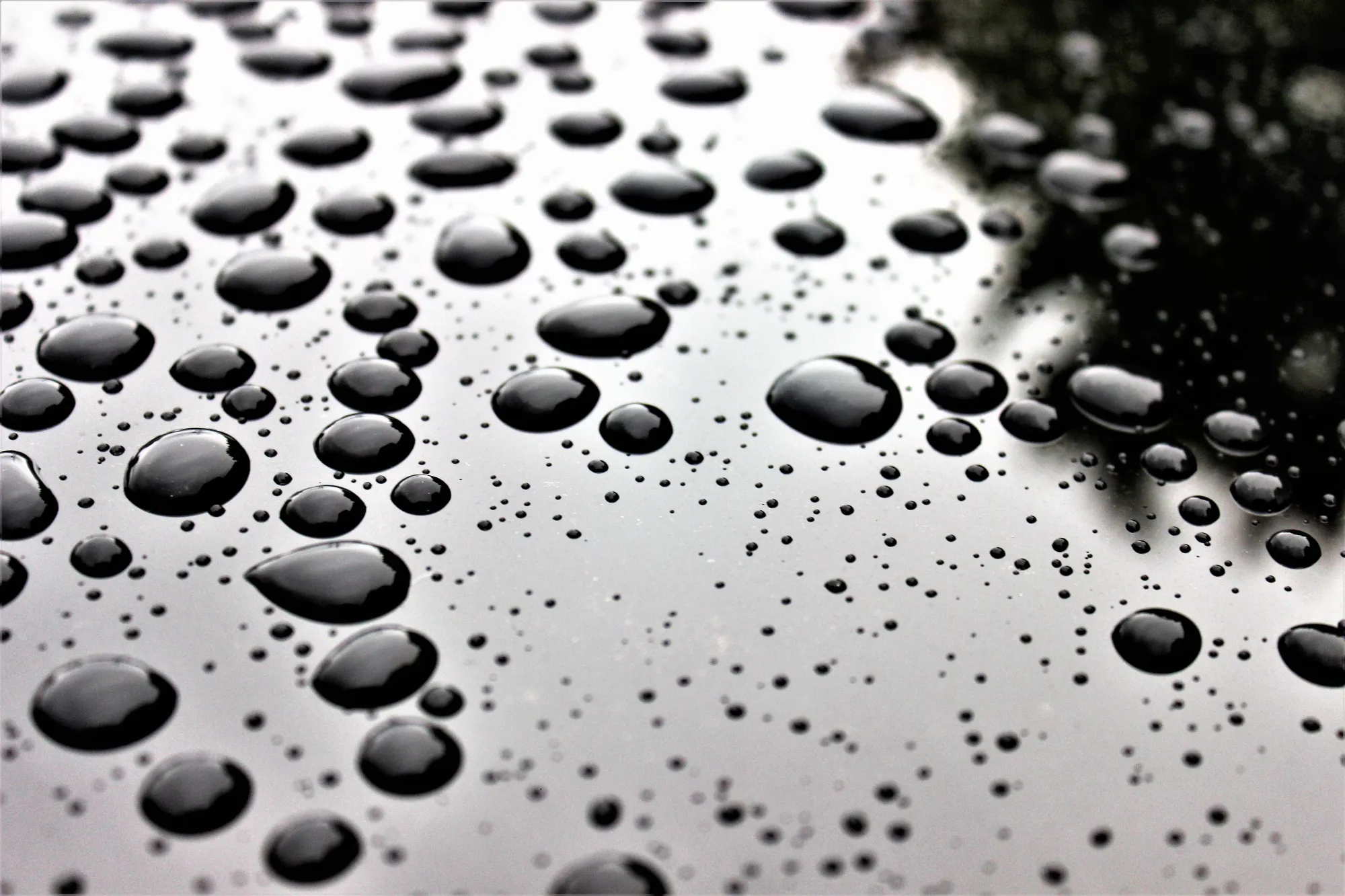 6 Factors to Consider When Choosing a Solar Panel Protection Solution