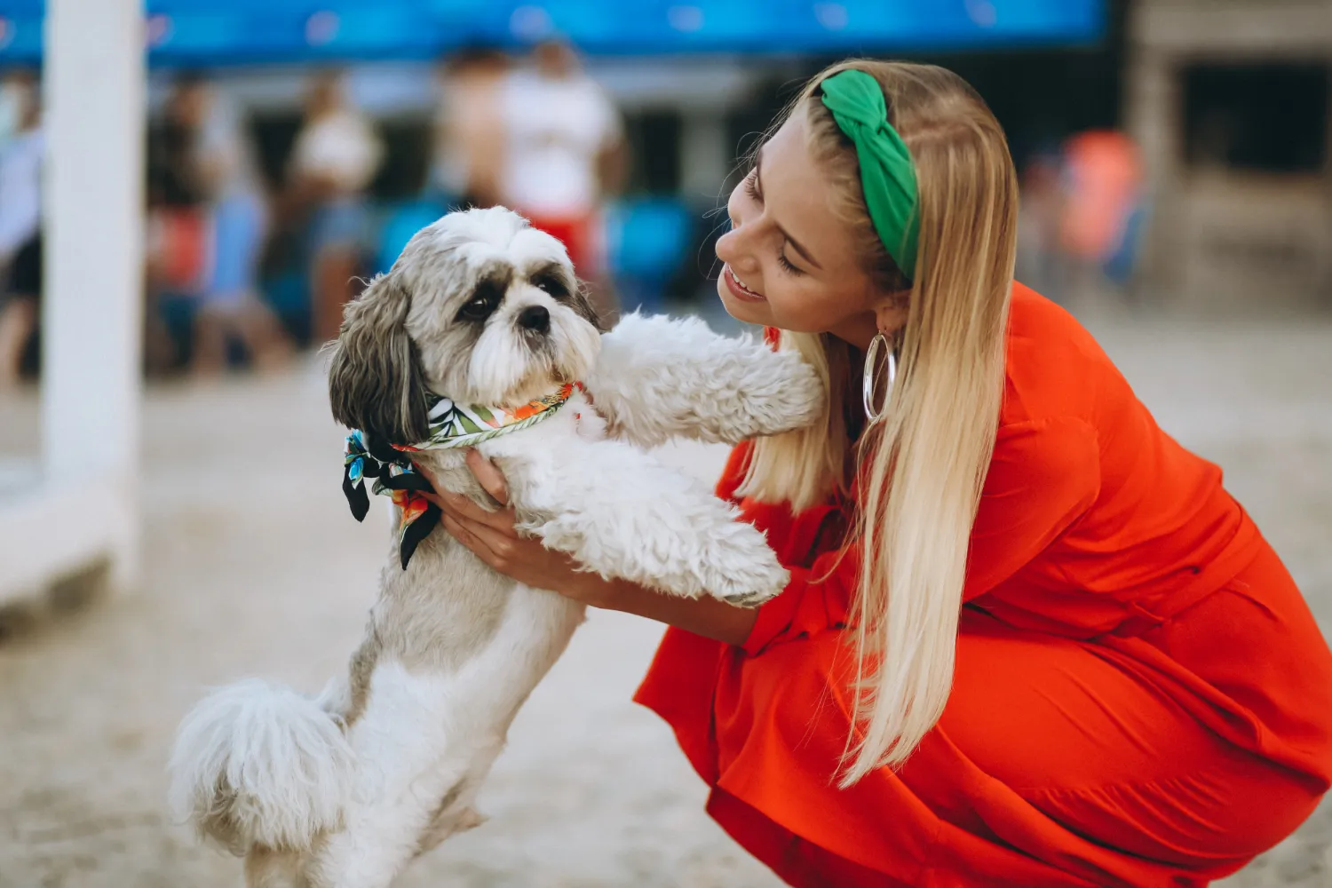 What Makes a Vet "Affordable" and "Best" at the Same Time?