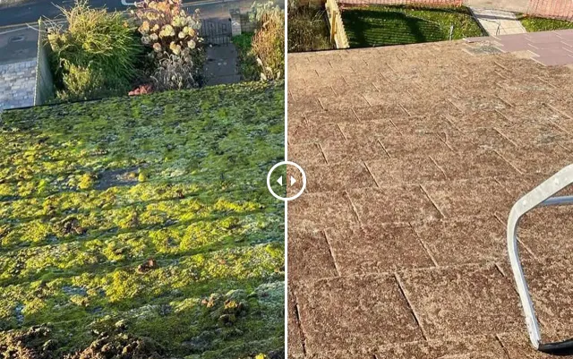 5 Smart House Roof Cleaning Habits That Can Extend Your Roof's Life