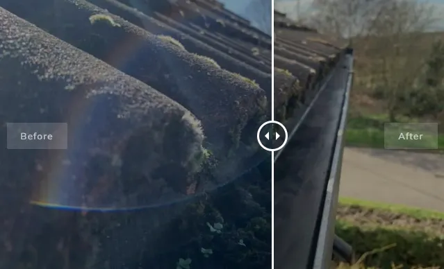 5 Smart House Roof Cleaning Habits That Can Extend Your Roof's Life