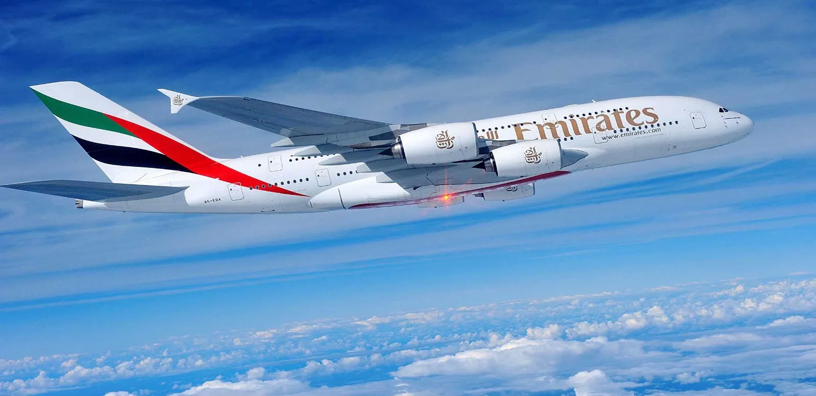 Dummy Flight Reservation: A Complete Guide for Easy and Secure Visa Applications