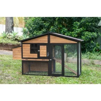 Wooden Chicken Coops: A Practical Guide for First-Time Chicken Keepers