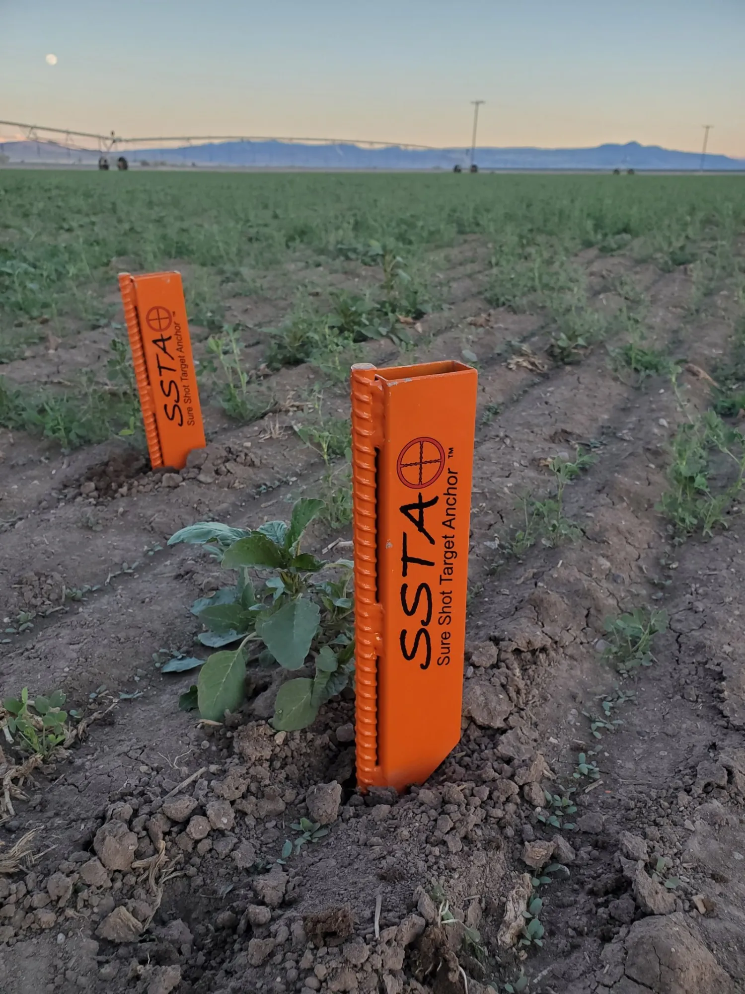 Sure Shot Target Anchor: The Secret to Stable and Accurate Shooting Practice