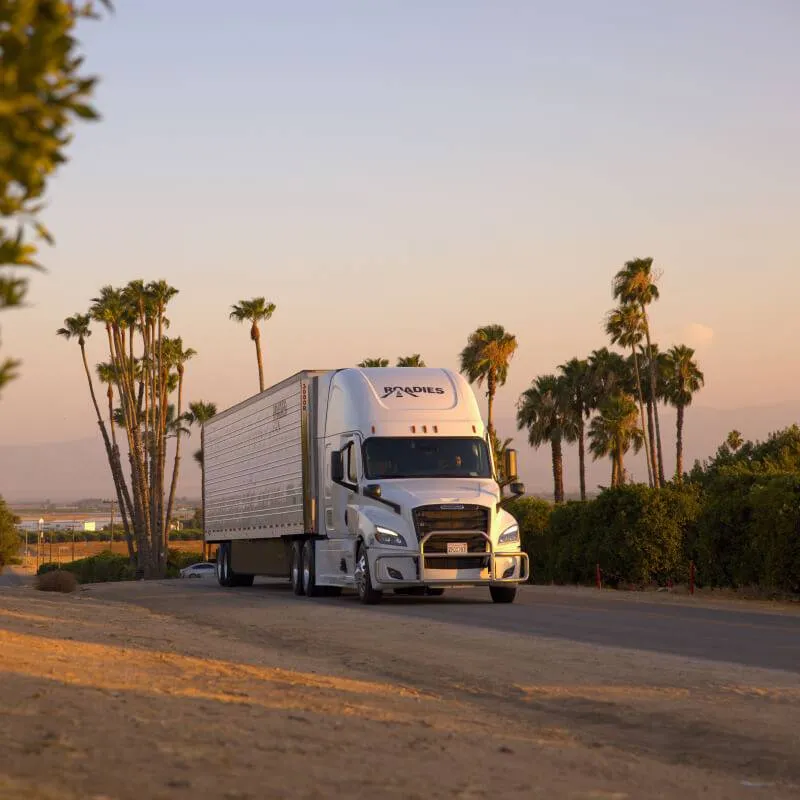Why Hiring a Professional Trailer Transport Company Matters