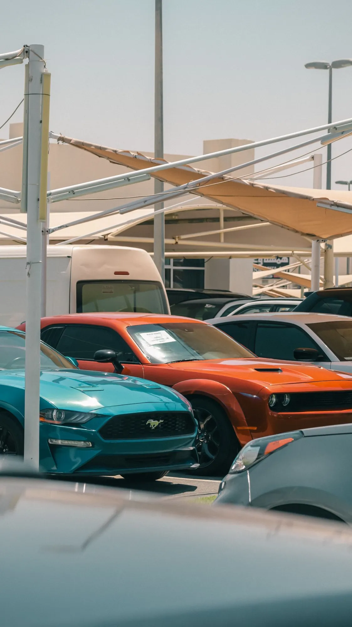 New vs. Used Cars: Which Is the Better Investment?