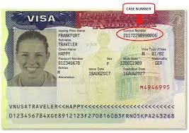 International Student Mobility: A Detailed Look at What Is Day 1 CPT Visa