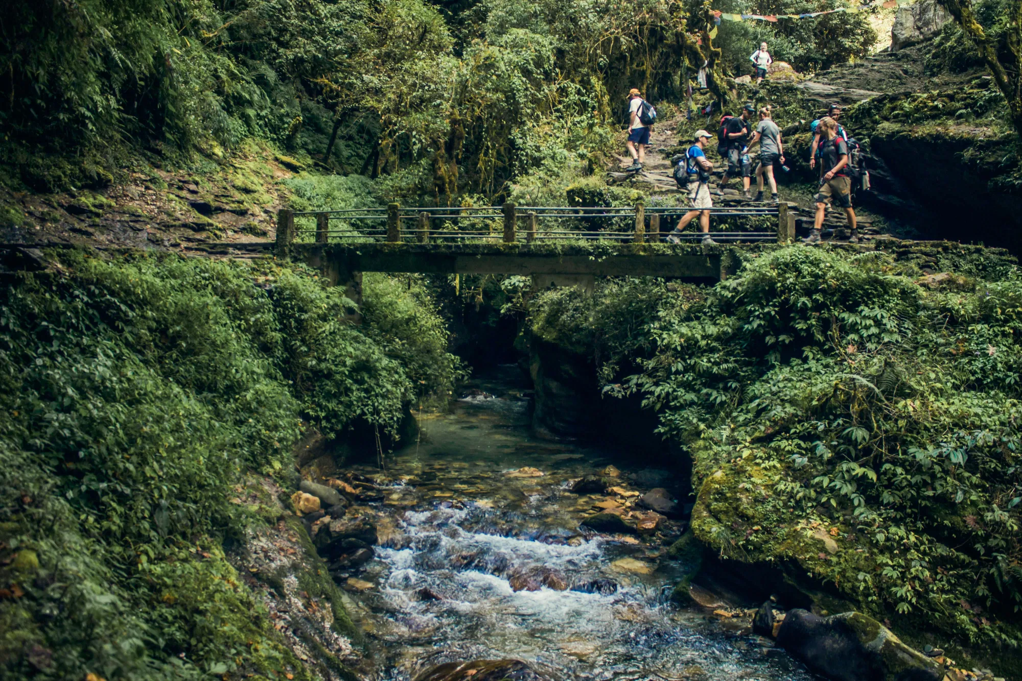Everything You Need to Know About Ghorepani Poon Hill Trek Difficulty