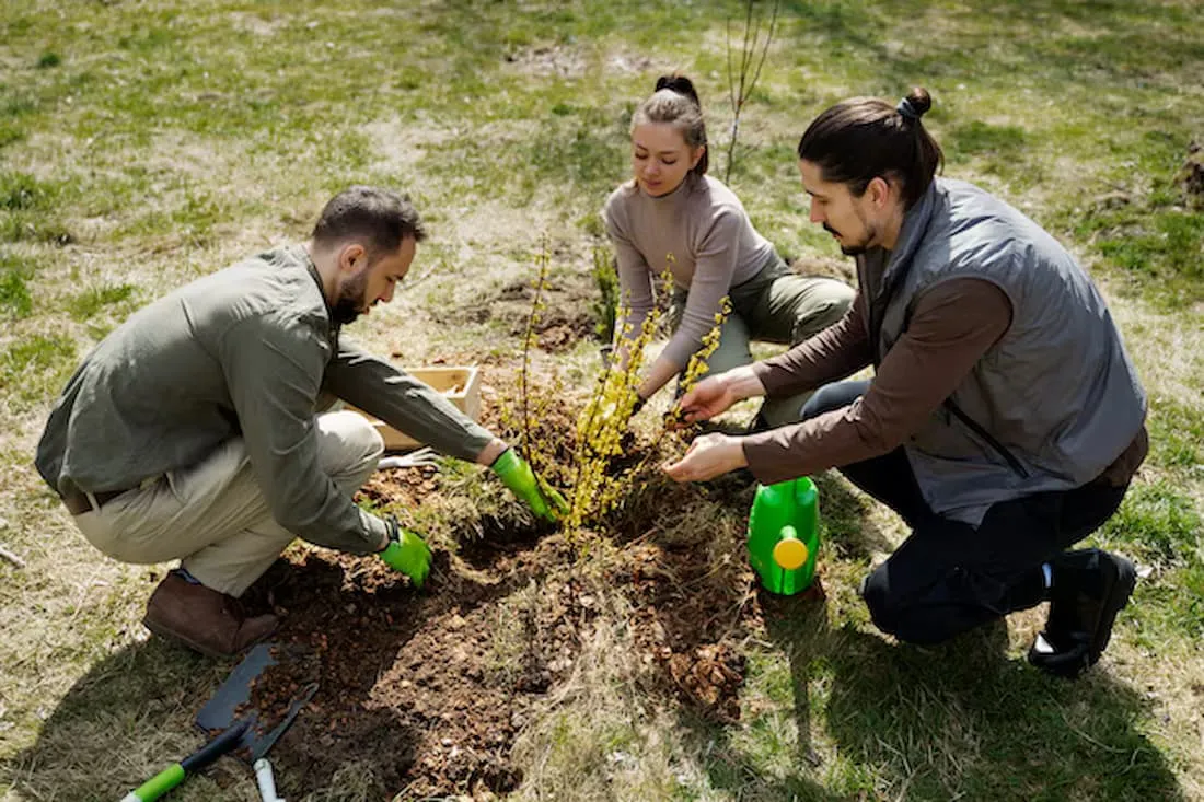 Growing Stronger Communities Through Church Planting Ministry Efforts