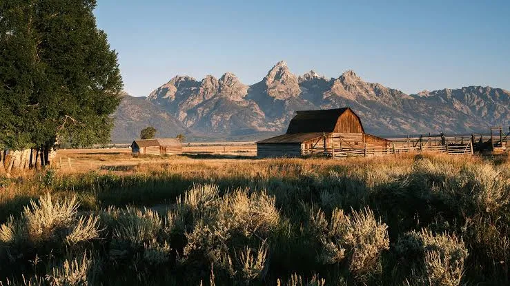 Best Cities in the US for Introverts: Where Quiet Living Actually Works