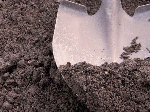 The Secret to a Thriving Garden: Why Quality Screened Top Soil Makes All the Difference