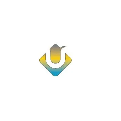 What Does Professional Website Design in NZ Include