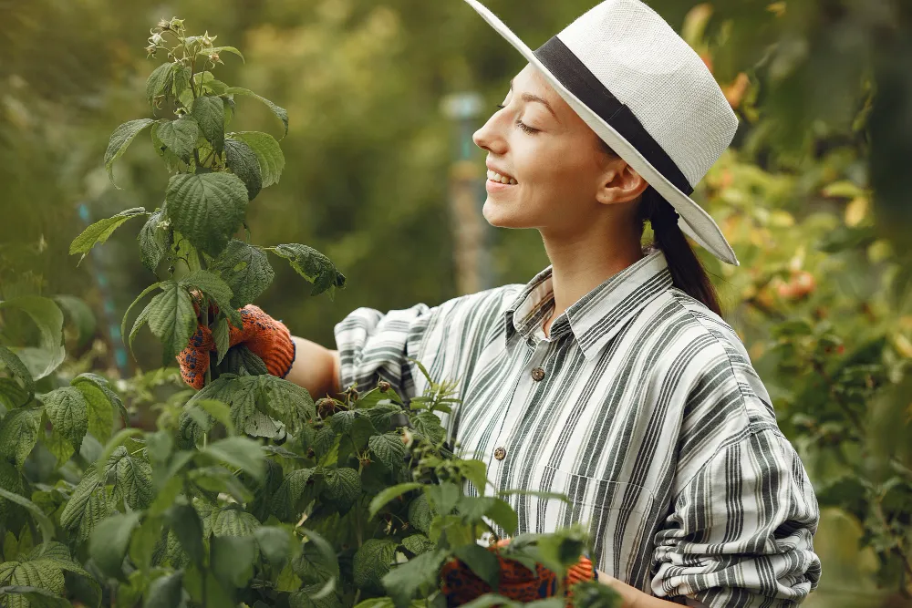Plant Nutrients and Their Functions